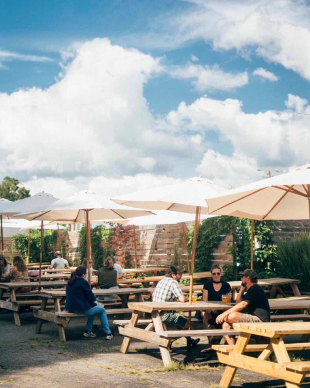 Sunny outdoor patio seating with picnic tables and umbrellas