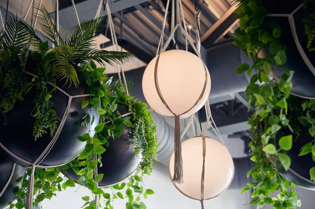Unique geometric lighting and hanging greenery overhead