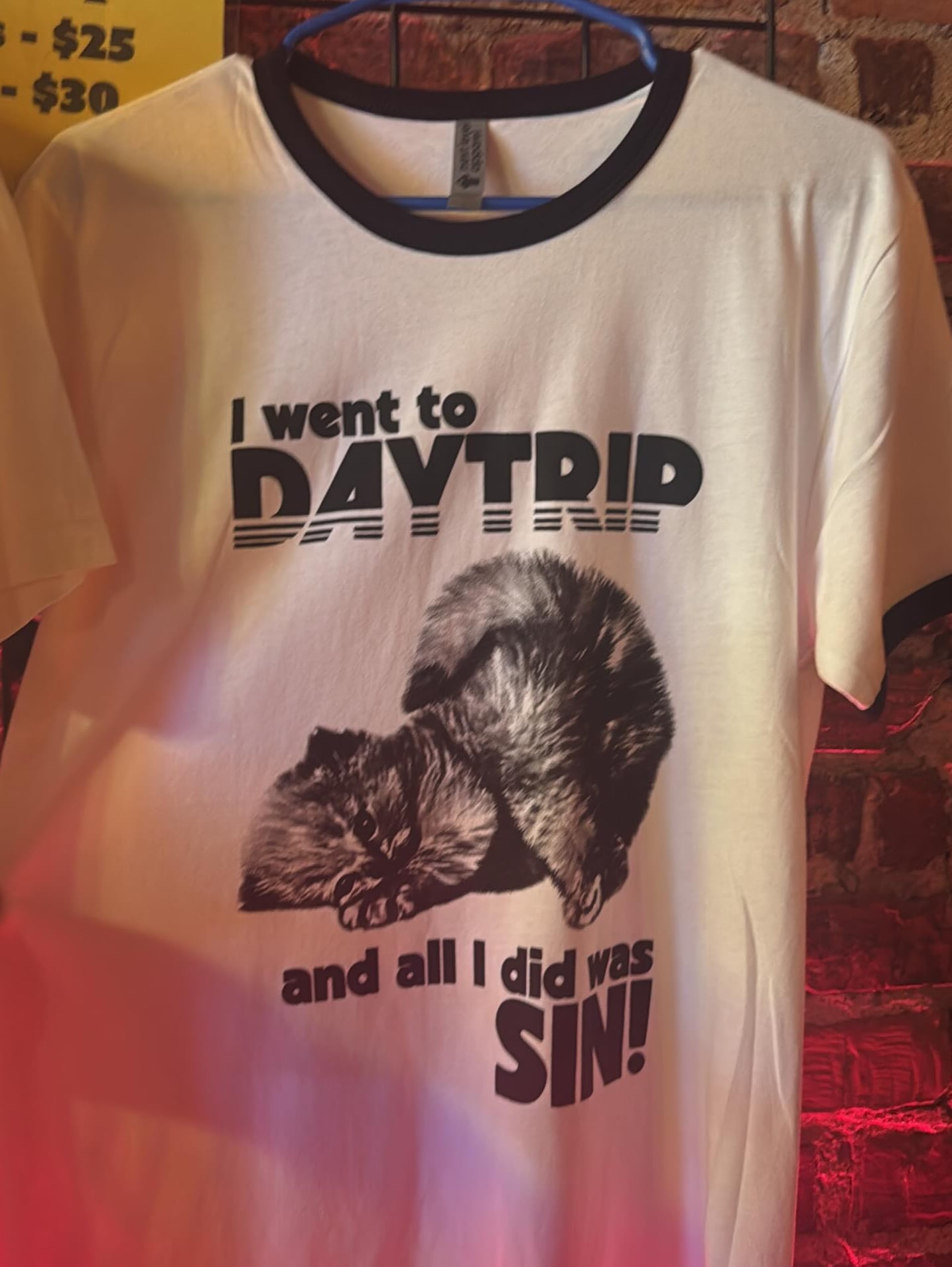 DayTrip's signature 'I went to DAYTRIP and all I did was SIN' merch tee against the brick and neon bar backdrop.