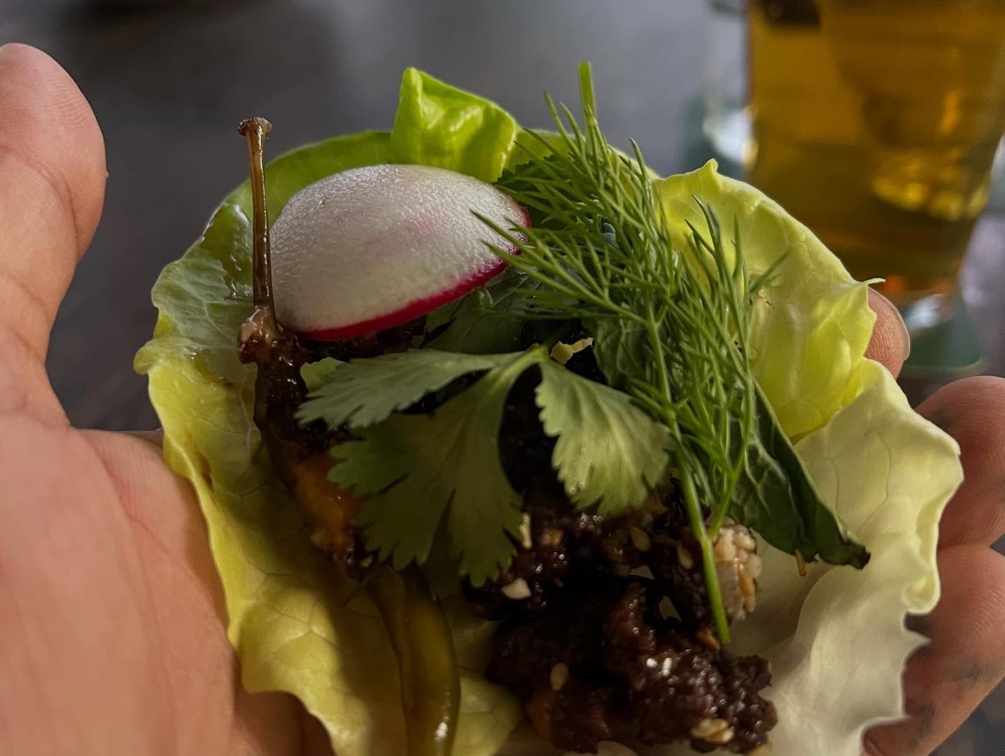 Fresh appetizer wrap with lettuce, radishes, and dill garnish.