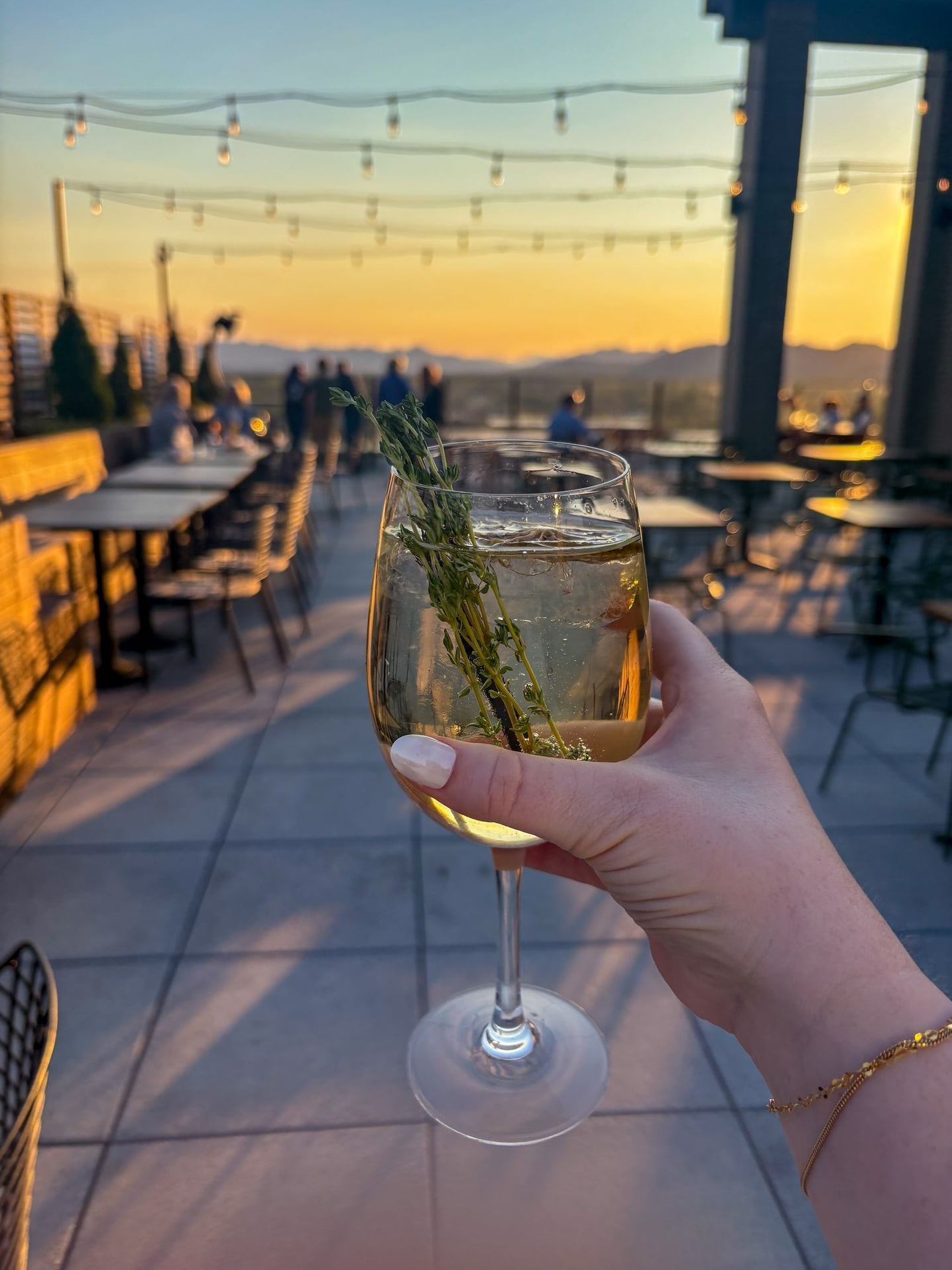 Signature herb cocktail on the rooftop terrace at golden hour, with mountain views stretching across the Asheville skyline